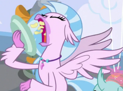 Size: 995x736 | Tagged: safe, screencap, ocellus, silverstream, changedling, changeling, classical hippogriff, hippogriff, g4, my little pony: friendship is magic, she's all yak, chips, cropped, eating, eyes closed, female, food, jewelry, necklace, open mouth, plate, solo focus, spread wings, wings