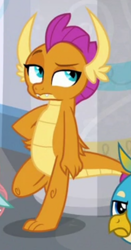 Size: 388x738 | Tagged: safe, screencap, gallus, ocellus, smolder, changedling, changeling, dragon, griffon, she's all yak, cropped, hand on hip, offscreen character, raised eyebrow, smolder is not amused, solo focus, unamused