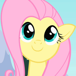 Size: 720x720 | Tagged: safe, screencap, fluttershy, pegasus, pony, g4, season 1, sonic rainboom (episode), cropped, cute, female, happy, looking at you, mare, shyabetes, smiling, solo
