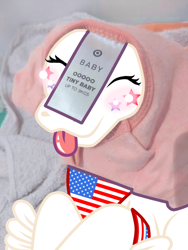 Size: 526x701 | Tagged: safe, edit, oc, oc:star spangle, pegasus, pony, american flag, english, feathered fetlocks, meme, nation ponies, photo, photo edit, ponified, united states