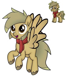 Size: 720x825 | Tagged: safe, oc, oc only, oc:coffee coat, pegasus, pony, clothes, scarf, simple background, solo, white background