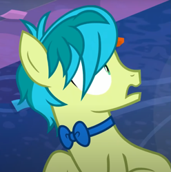 Size: 741x748 | Tagged: safe, screencap, sandbar, earth pony, pony, g4, she's all yak, bowtie, cropped, male, reaction image, solo