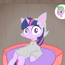 Size: 2000x2000 | Tagged: safe, artist:reinbou, spike, twilight sparkle, pony, unicorn, g4, animal costume, bell, bell collar, cat costume, clothes, collar, costume, high res, hoodie, solo, stare