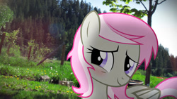 Size: 1024x576 | Tagged: safe, artist:viperbrony454, oc, oc only, oc:sweet shutter, pegasus, pony, female, irl, mare, photo, ponies in real life, solo