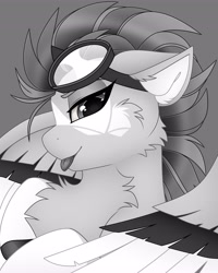 Size: 3277x4096 | Tagged: safe, artist:chromatic-sheen, oc, oc only, oc:burst sketch, pegasus, pony, cheek fluff, chest fluff, female, goggles, goggles on head, looking at you, mare, monochrome, pegasus oc, solo, spread wings, tongue out, wings
