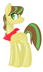 Size: 600x1000 | Tagged: safe, artist:oniiponii, oc, oc only, pegasus, pony, male, neckerchief, pegasus oc, simple background, solo, stallion, transparent background