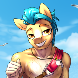 Size: 1072x1072 | Tagged: safe, artist:jedayskayvoker, hitch trailblazer, bird, earth pony, seagull, anthro, g5, advertisement, bust, cloud, eyebrows, lifeguard, looking at you, male, outdoors, patreon, patreon preview, portrait, raised eyebrow, sky, smiling, smiling at you, solo, stallion, wet, whistle