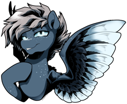 Size: 2742x2232 | Tagged: safe, artist:dormin-dim, oc, oc only, pegasus, pony, freckles, high res, simple background, solo, transparent background