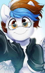 Size: 2480x4000 | Tagged: safe, artist:dormin-dim, oc, oc only, oc:soul beat, pegasus, pony, clothes, commission, glasses, looking at you, male, smiling, smiling at you, solo
