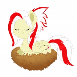 Size: 2048x2048 | Tagged: safe, artist:karzii, oc, oc only, oc:redsun, pegasus, pony, eyes closed, female, folded wings, high res, mare, nest, simple background, sitting, smiling, solo, white background, wings