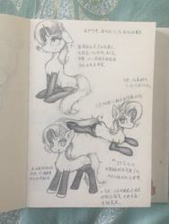 Size: 2448x3264 | Tagged: safe, artist:zpdea, pony, unicorn, chinese, clothes, floppy ears, high res, lying down, monochrome, notes, prone, sitting, socks, solo, standing, traditional art