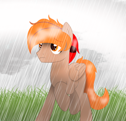 Size: 2846x2736 | Tagged: safe, artist:fededash, oc, oc:fededash, pegasus, pony, cloud, eyes open, glass, high res, male, male oc, orange eyes, pegasus oc, pony oc, rain, simple background, stallion, stallion oc