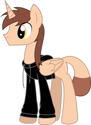 Size: 1896x2606 | Tagged: safe, artist:emc-blingds, oc, oc only, alicorn, pony, alicorn oc, clothes, hoodie, horn, male, simple background, solo, stallion, transparent background, wings
