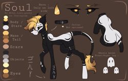 Size: 3559x2246 | Tagged: safe, artist:thelazyponyy, oc, oc only, oc:soul, earth pony, pony, earth pony oc, high res, raised hoof, reference sheet, solo