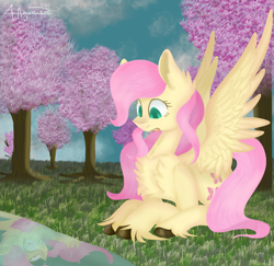 Size: 2016x1960 | Tagged: safe, artist:4agonism, fluttershy, bat pony, pony, g4, :o, alternate hairstyle, bat ponified, cherry blossoms, cherry tree, cloud, colored hooves, cute, evil grin, flutterbat, grin, hoof fluff, lineless, looking at something, lying down, open mouth, prone, race swap, reflection, shyabetes, smiling, spread wings, surprised, tree, unshorn fetlocks, wings