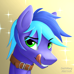 Size: 2600x2600 | Tagged: safe, artist:dash wang, oc, oc:memory mark, pony, bust, collar, high res, male