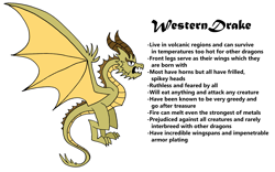Size: 2339x1460 | Tagged: safe, artist:aleximusprime, dragon, wyvern, fanfic:my little sister is a dragon, flurry heart's story, dragon wings, headcanon, horns, spikes, western drake, wings