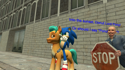 Size: 1920x1080 | Tagged: safe, artist:media buff, hitch trailblazer, earth pony, hedgehog, human, pony, g5, 3d, censored, city, donut lord, funny, gmod, half-life, half-life 2, humor, joke, male, male 04, riding, sonic the hedgehog, sonic the hedgehog (series), stop sign, voice actor joke