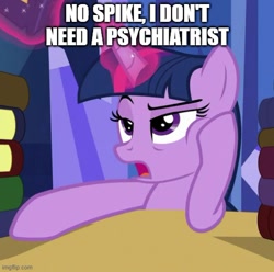 Size: 503x499 | Tagged: safe, edit, edited screencap, screencap, twilight sparkle, alicorn, pony, g4, made in manehattan, blatant lies, caption, denial's not just a river in egypt, female, image macro, implied spike, mare, solo, text