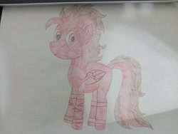 Size: 4160x3120 | Tagged: safe, artist:thehumanboywonder, oc, oc only, oc:tootsie4ever, pegasus, pony, male, pencil drawing, smiling, stallion, traditional art, wings