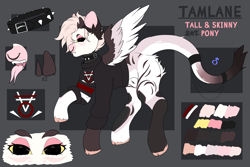 Size: 4500x3000 | Tagged: safe, artist:etoz, oc, oc only, oc:tamlane, original species, pegasus, pony, clothes, collar, eyebrows, fangs, forked tongue, horns, long tail, long tongue, male, nudity, pegasus oc, piercing, reference sheet, sheath, skinny, stallion, tail, tall, text, thin, tongue out, wings