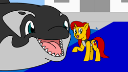 Size: 1280x720 | Tagged: safe, artist:orcasnack-garth, oc, oc only, oc:marine delight, orca, pony, unicorn, clothes, countershading, cute, female, imminent vore, male, mare, one-piece swimsuit, swimsuit
