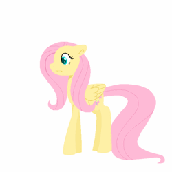 Size: 640x640 | Tagged: safe, artist:lindasaurie, fluttershy, pegasus, pony, g4, animated, blush sticker, blushing, blushing profusely, breaking the fourth wall, emanata, female, folded wings, full body, gif, hooves, lineless, looking at you, mare, open mouth, pinpoint eyes, shy, side view, simple background, solo, spread wings, standing, tail, wavy mouth, white background, wings
