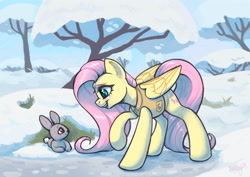 Size: 3508x2480 | Tagged: safe, artist:amishy, fluttershy, pegasus, pony, rabbit, g4, animal, cute, female, high res, mare, shyabetes, snow, solo, winter, winter wrap up vest