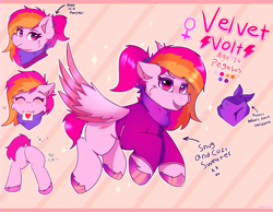 Size: 4096x3186 | Tagged: safe, artist:legionsunite, oc, oc:velvet volt, pegasus, pony, :3, bandana, butt, clothes, female, flying, looking at you, mare, plot, ponytail, reference sheet, sign, sweater, text