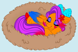 Size: 1280x855 | Tagged: safe, artist:missbramblemele, oc, oc only, pegasus, pony, blue background, bow, female, hair bow, mare, nest, simple background, sleeping, solo, tail, tail bow