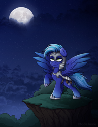 Size: 2024x2624 | Tagged: safe, artist:madelinne, oc, oc only, pegasus, pony, armor, commission, high res, moon, night, royal guard, solo, stars