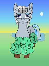 Size: 1503x2000 | Tagged: safe, artist:timcryt, oc, oc only, earth pony, pony, female, moon, rainbow, solo