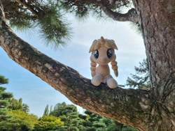 Size: 4032x3024 | Tagged: safe, artist:xeto_de, oc, oc only, oc:lily allure, pegasus, pony, g4, braid, clothes, female, filly, foal, irl, nature, outdoors, photo, photography, plushie, socks, solo, tree, tree branch