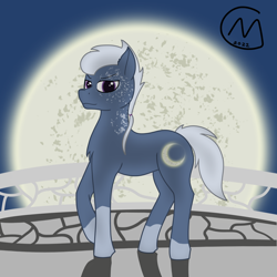 Size: 3200x3200 | Tagged: safe, artist:maître cervidé, oc, oc:moon bright, earth pony, pony, high res, male, moon, night, solo