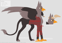Size: 6856x4840 | Tagged: safe, artist:snows-doodles, oc, oc only, griffon, accessory, clothes, colored, flat cap, flat colors, folded wings, griffon oc, hat, jacket, paws, reference sheet, simple background, talons, wings