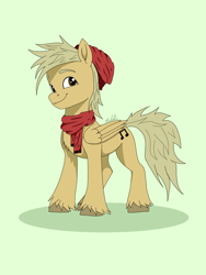 Size: 1620x2160 | Tagged: artist needed, safe, oc, oc only, oc:coffee coat, pegasus, pony, solo