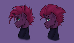 Size: 2314x1343 | Tagged: safe, artist:daazzlin, tempest shadow, pony, unicorn, g4, alternate hairstyle, broken horn, cheek fluff, chin fluff, cyclone shade, eye scar, facial scar, horn, mohawk, palindrome get, profile, rule 63, scar, solo