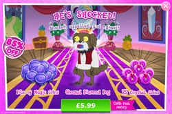 Size: 1960x1296 | Tagged: safe, gameloft, idw, biscuit benny, diamond dog, g4, my little pony: magic princess, advertisement, aghast, appalled, blue tongue, brown fur, choker, clothes, collar, costs real money, dog collar, english, idw showified, introduction card, magic coins, male, numbers, sale, shock, shocked, shocked expression, solo, text, vest, yellow eyes