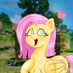 Size: 2048x2048 | Tagged: safe, artist:loolaymoon, fluttershy, butterfly, pegasus, pony, g4, cute, female, high res, mare, shyabetes, solo