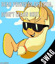 Size: 1759x2048 | Tagged: safe, artist:gay_smilesss, applejack, earth pony, pony, g4, cowboy hat, female, glasses, hat, mare, meme, solo, swag, text