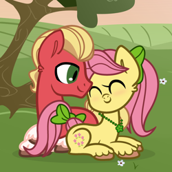 Size: 1920x1920 | Tagged: safe, artist:grapefruit-face, posey bloom, sprout cloverleaf, earth pony, pony, g4, g5, base used, blushing, cute, duo, eyes closed, female, g5 to g4, generation leap, male, ship:poseysprout, shipping, smiling, stallion, straight