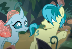 Size: 849x579 | Tagged: safe, screencap, ocellus, sandbar, changedling, changeling, earth pony, pony, g4, non-compete clause, cropped, duo, female, looking at each other, looking at someone, male, pointing, raised hoof