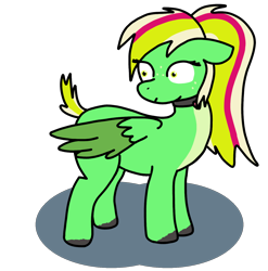 Size: 1272x1290 | Tagged: safe, artist:cocacola1012, oc, oc only, oc:gumdrops, pegasus, pony, collar, short tail, simple background, solo, tail, transparent background