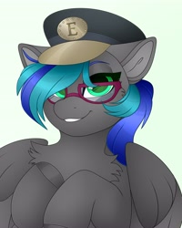 Size: 3277x4096 | Tagged: safe, artist:chromatic-sheen, oc, oc only, oc:summer breeze (pegasus), pegasus, pony, bust, chest fluff, commission, female, glasses, hat, looking at you, mare, pegasus oc, smiling, smiling at you, solo, spread wings, wings
