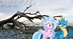 Size: 2064x1105 | Tagged: safe, artist:cloudy glow, artist:dashiesparkle, artist:not-yet-a-brony, gallus, silverstream, griffon, hippogriff, g4, 2022, beach, cloud, driftwood, female, friends, friendship, lyrics in the description, male, ocean, september, ship:gallstream, shipping, song reference, straight, water, youtube link in the description