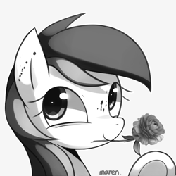 Size: 1800x1800 | Tagged: safe, alternate version, artist:maren, roseluck, pony, g4, 2014, blood, bust, female, flower, flower in mouth, monochrome, mouth hold, old art, rose, smiling, solo