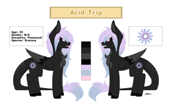 Size: 3000x1808 | Tagged: safe, artist:melodytheartpony, oc, oc:acid trip, dracony, dragon, hybrid, pony, agender, chest fluff, drugs, gradient mane, high, pansexual, reference sheet, signature, simple background, solo, white background