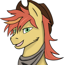 Size: 2048x2048 | Tagged: safe, artist:yerwarrior, oc, oc only, oc:zestar apple, earth pony, pony, bandana, bust, cowboy hat, earth pony oc, hat, looking at you, male, open mouth, portrait, smiling, smiling at you, solo, solo male, stallion