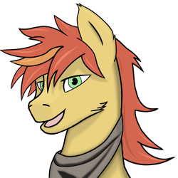 Size: 2048x2048 | Tagged: safe, alternate version, artist:yerwarrior, oc, oc only, oc:zestar apple, earth pony, pony, bandana, bust, earth pony oc, looking at you, male, open mouth, portrait, smiling, smiling at you, solo, solo male, stallion