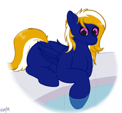 Size: 2150x2000 | Tagged: safe, artist:aelflonra, oc, oc only, oc:nightsky, pegasus, pony, female, high res, simple background, solo, transparent background